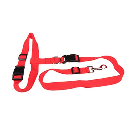 Image of Dog Running Leash