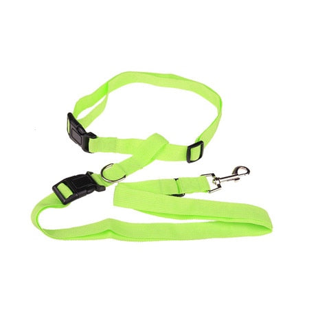 Image of Dog Running Leash