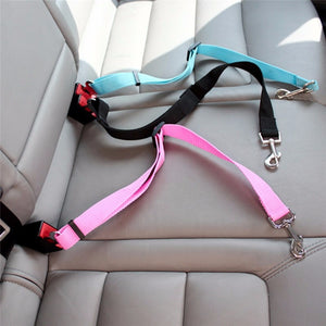 Almighty Car Leash