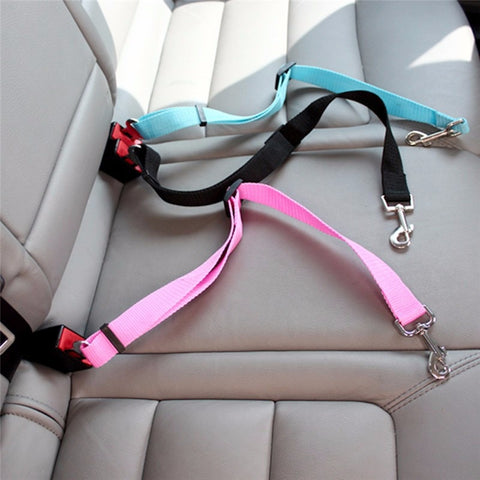 Image of Almighty Car Leash