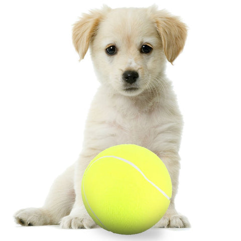 Image of Almighty Tennis Ball