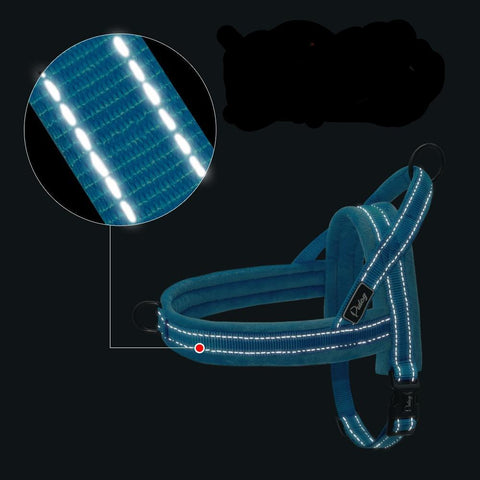 Image of Slip-On Dog Harness