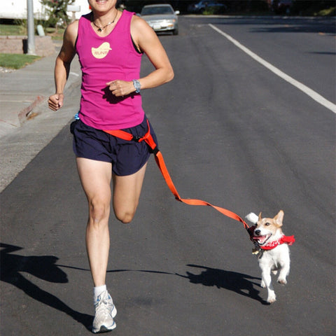 Image of Dog Running Leash