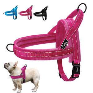 Slip-On Dog Harness