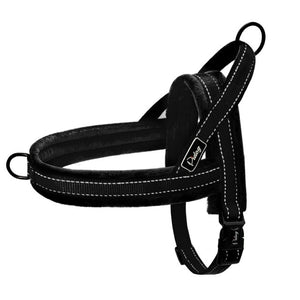 Slip-On Dog Harness