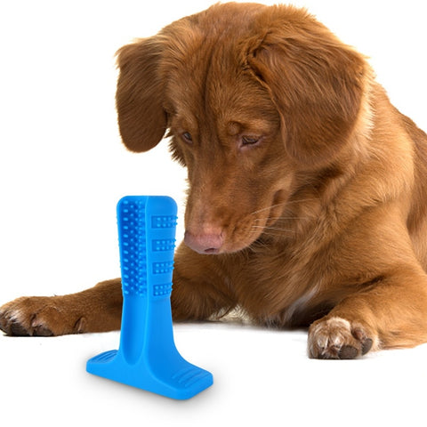 Image of Almighty Dog Brush